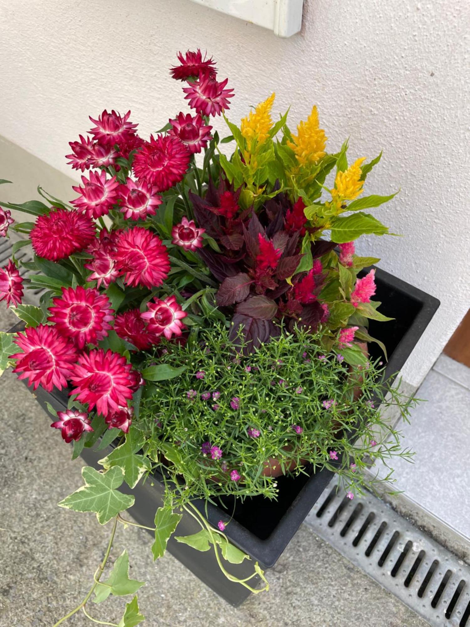 Ferienwohnung Emma An Der Romantischen Strasse Weikersheim Exteriör bild